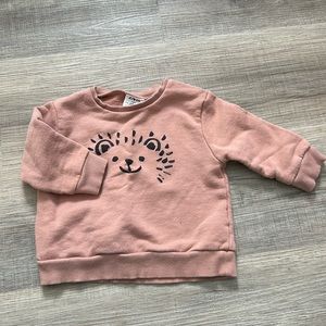Zara porcupine sweatshirt